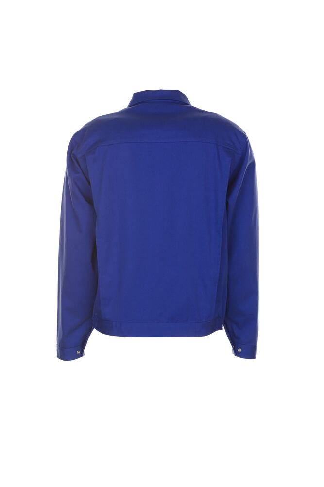 Damen Bundjacke – Kornblumenblau – Rückseite